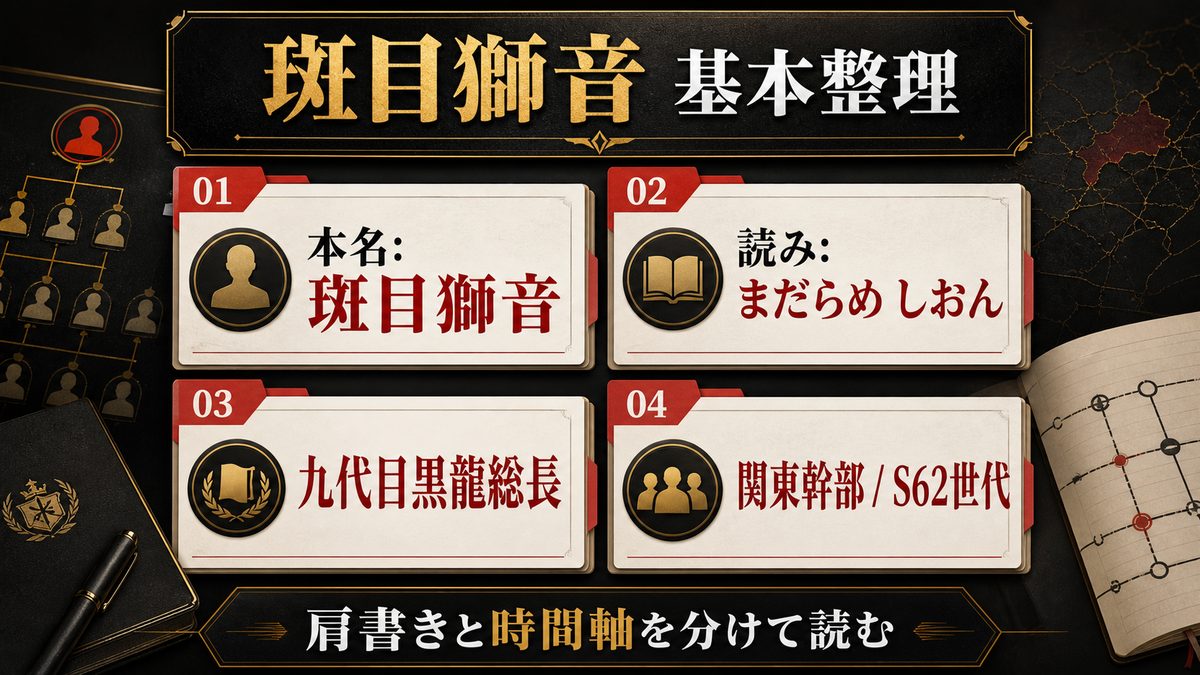 斑目獅音の基本プロフィールの要点を整理した東京リベンジャーズ解説画像